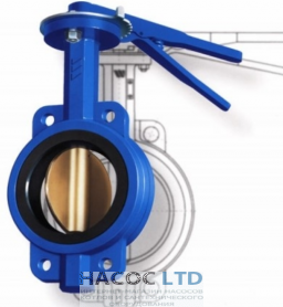 Затвор BF 100 NIRO